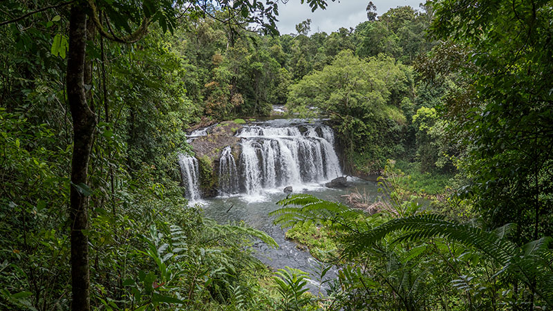 wallicher falls wooroonooran national park